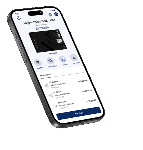 Vista de la app en celular